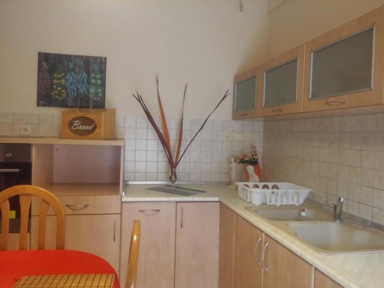 Oasis Apartment ネア・ミカニオーナ エクステリア 写真