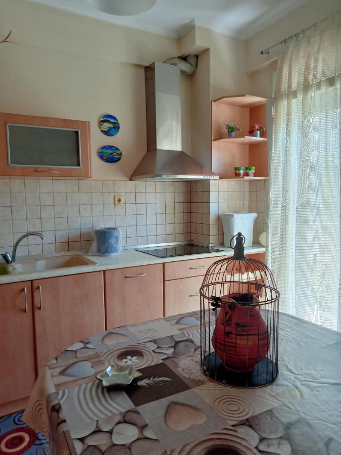 Oasis Apartment ネア・ミカニオーナ エクステリア 写真
