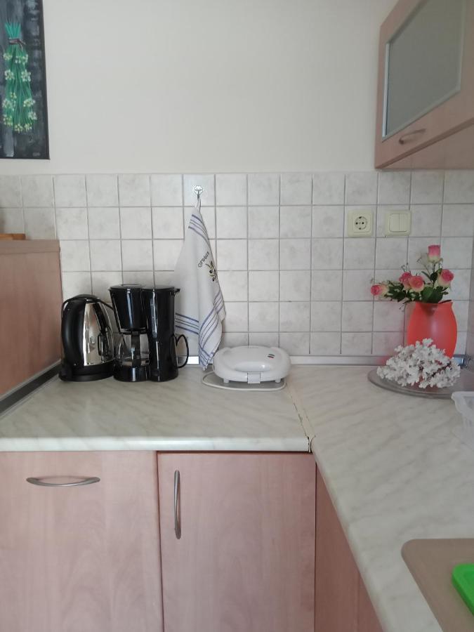Oasis Apartment ネア・ミカニオーナ エクステリア 写真
